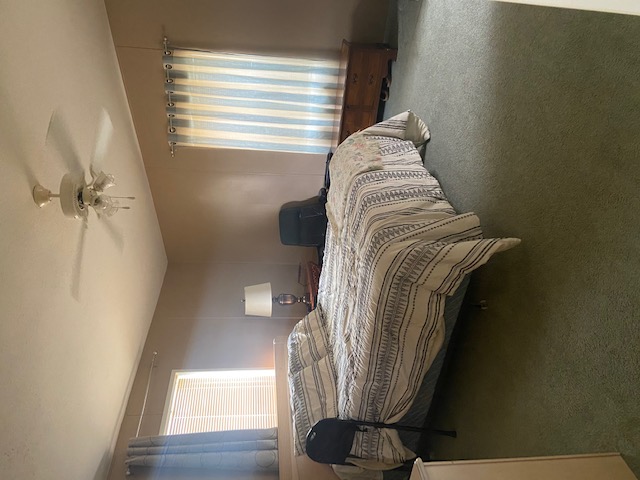 IMG 1872