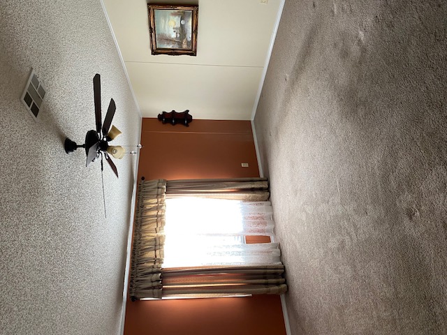 IMG 2051